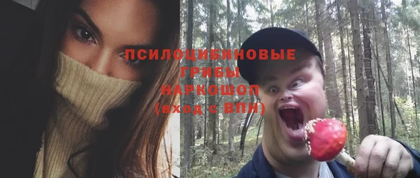 a pvp Кукмор