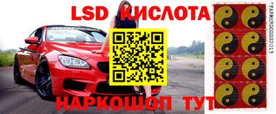 индика Будённовск