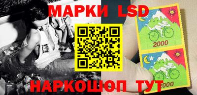 индика Будённовск