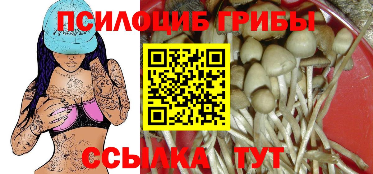 Галлюциногенные грибы MAGIC MUSHROOMS  Острогожск  Галлюциногенные грибы мухоморы 