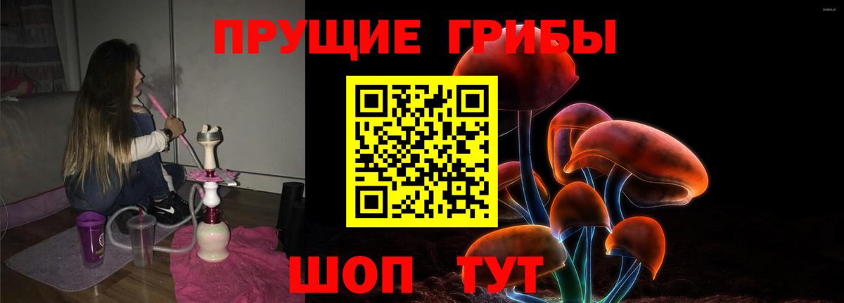 Псилоцибиновые грибы Psilocybine cubensis Острогожск